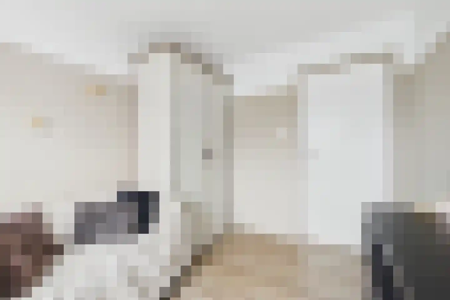 Nieuwe Bosstraat 1 Sas van Gent thumbnail 29