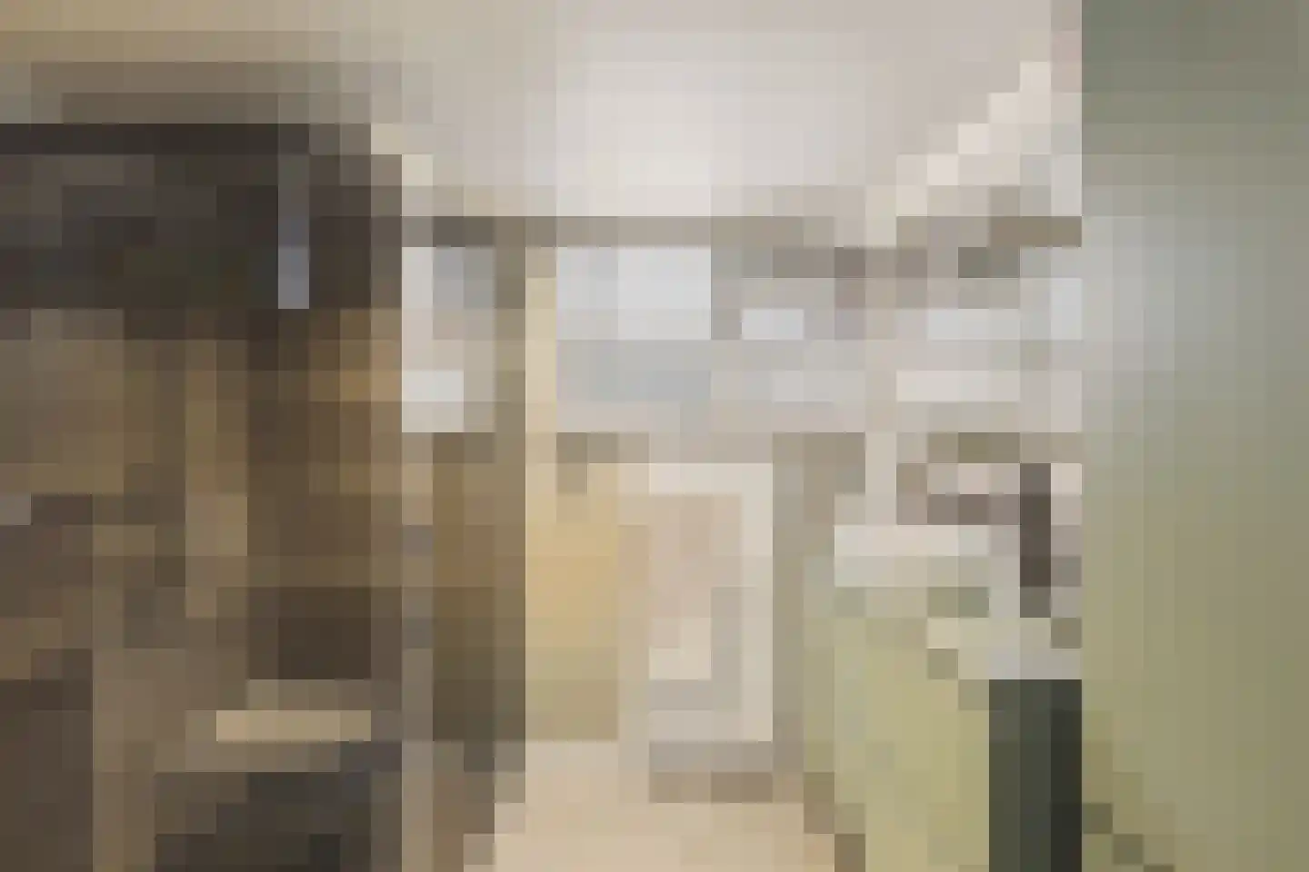 Nieuwe Bosstraat 1 Sas van Gent thumbnail 30