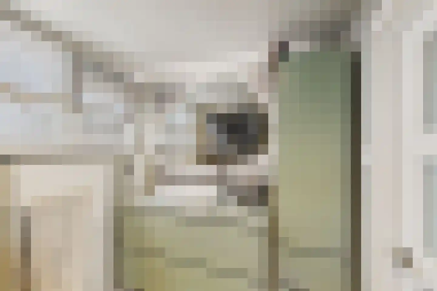 Nieuwe Bosstraat 1 Sas van Gent thumbnail 31