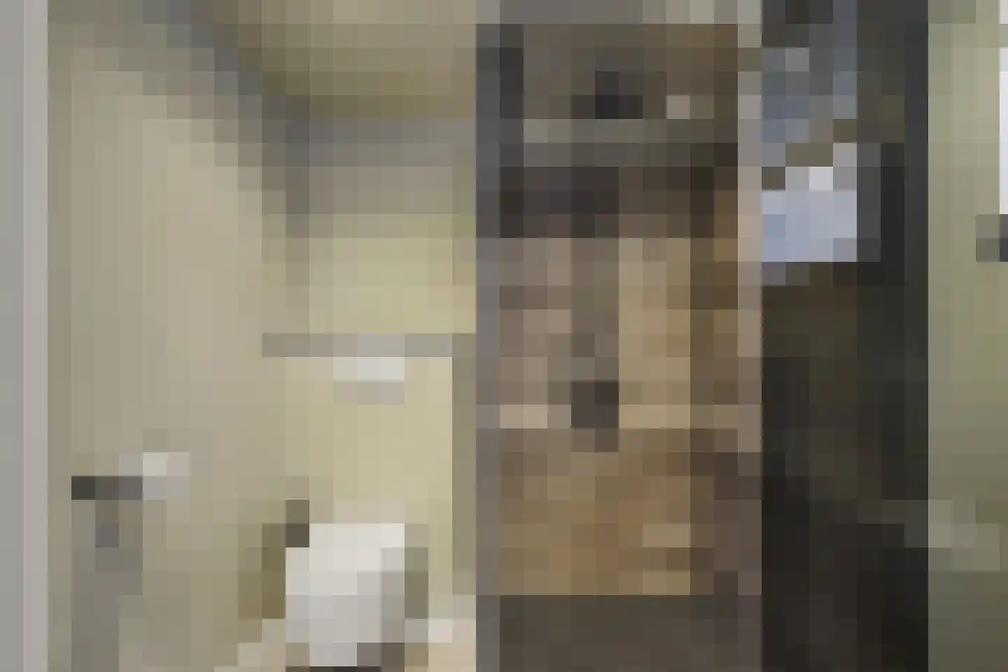 Nieuwe Bosstraat 1 Sas van Gent thumbnail 32