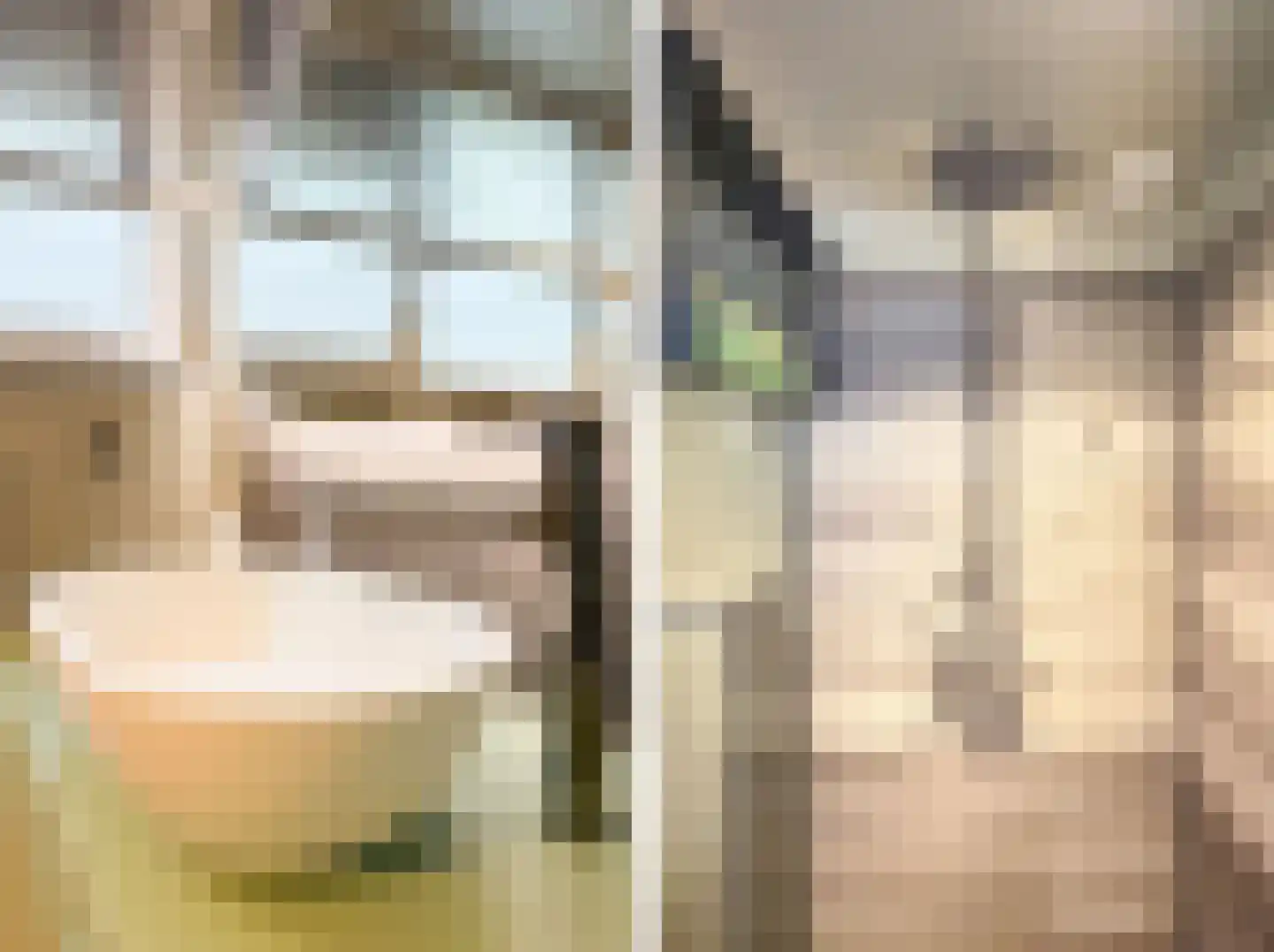 Nieuwe Bosstraat 1 Sas van Gent thumbnail 33