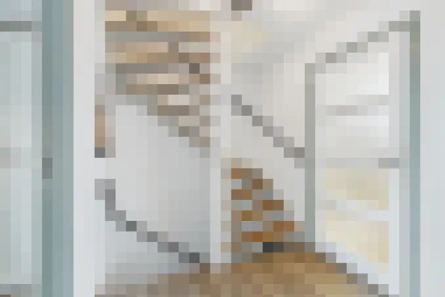 Nieuwe Bosstraat 1 Sas van Gent thumbnail 34