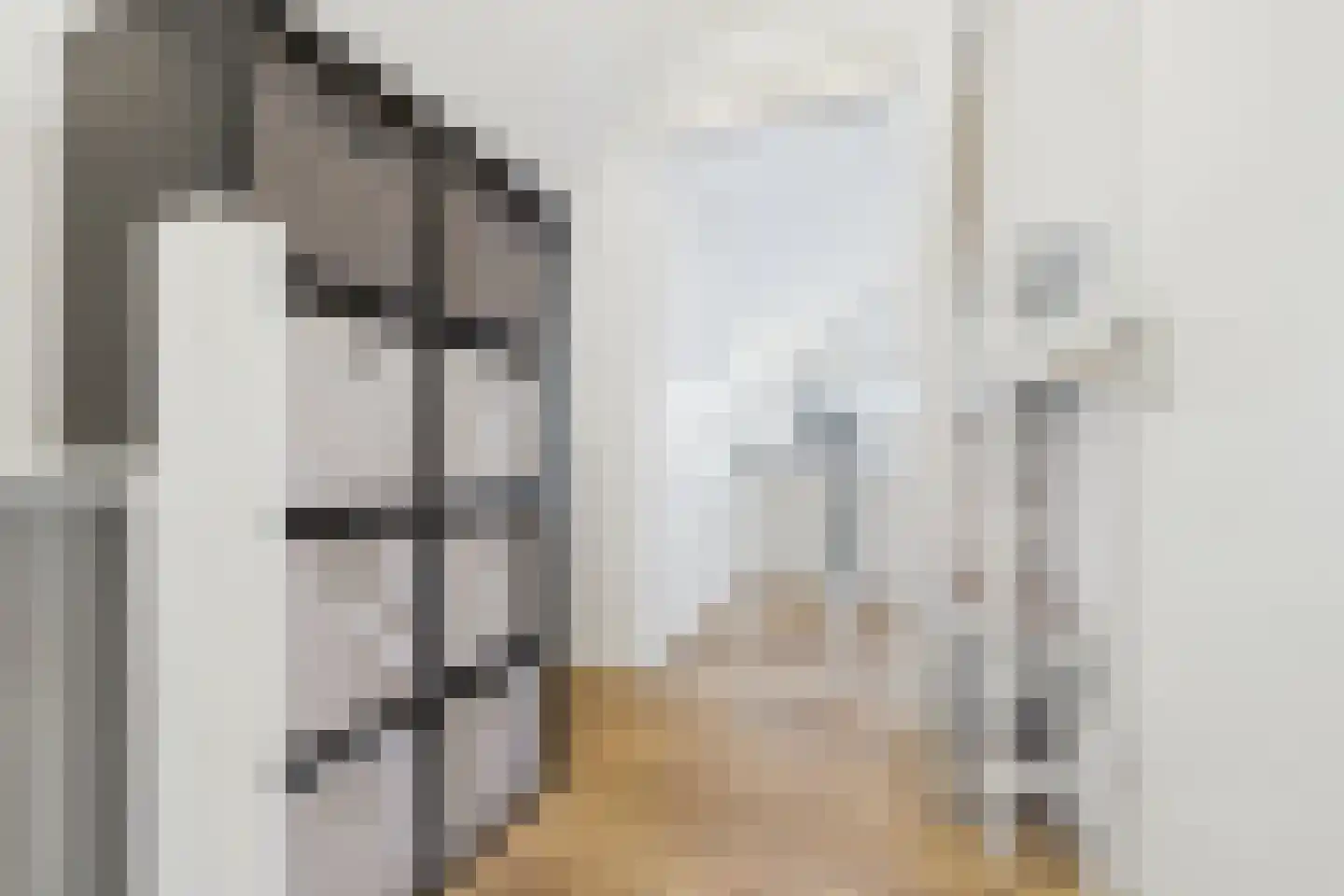Nieuwe Bosstraat 1 Sas van Gent thumbnail 35