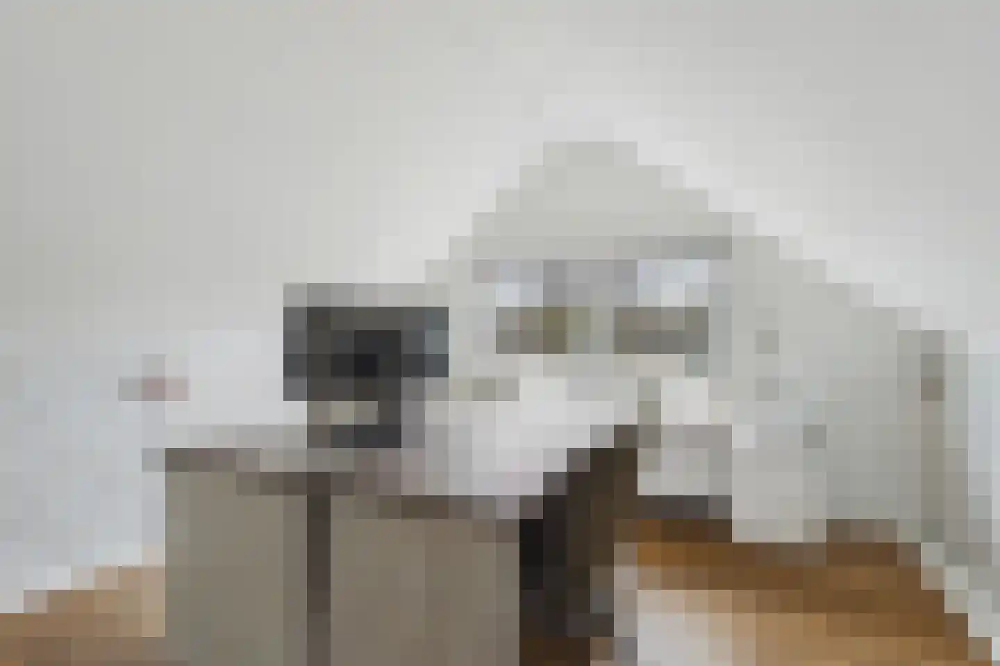 Nieuwe Bosstraat 1 Sas van Gent thumbnail 36
