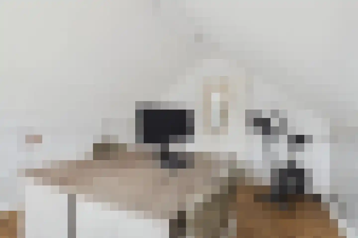 Nieuwe Bosstraat 1 Sas van Gent thumbnail 37