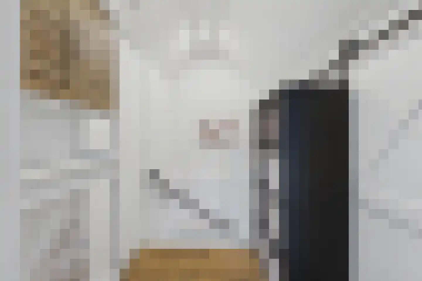 Nieuwe Bosstraat 1 Sas van Gent thumbnail 38