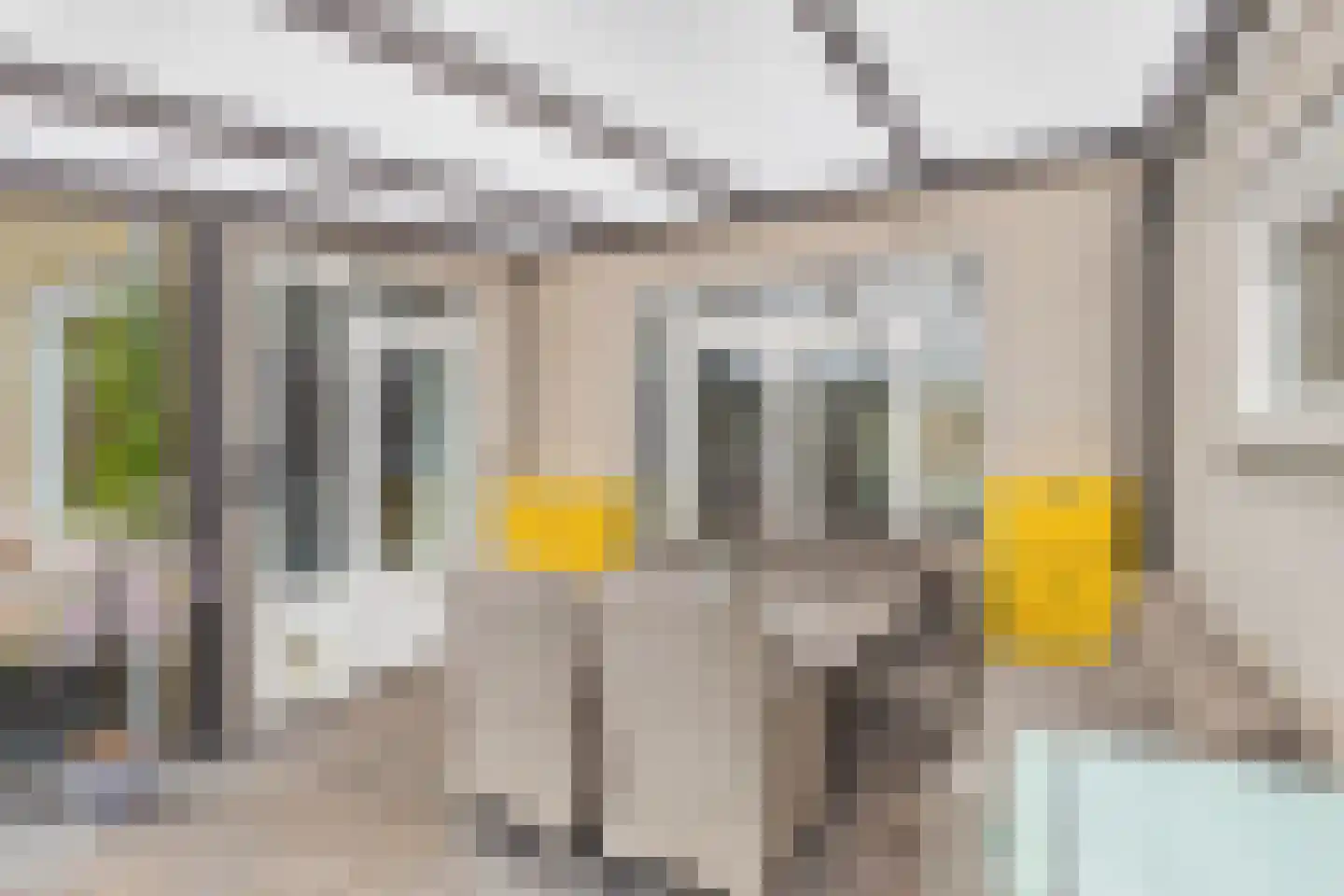 Nieuwe Bosstraat 1 Sas van Gent thumbnail 39