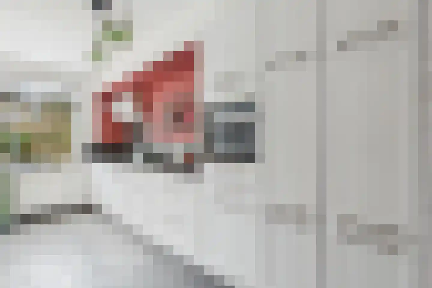 Nieuwe Bosstraat 1 Sas van Gent thumbnail 4