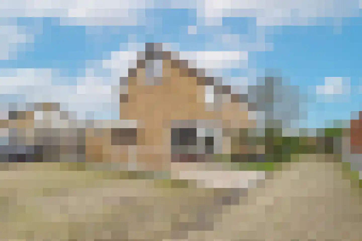 Nieuwe Bosstraat 1 Sas van Gent thumbnail 43
