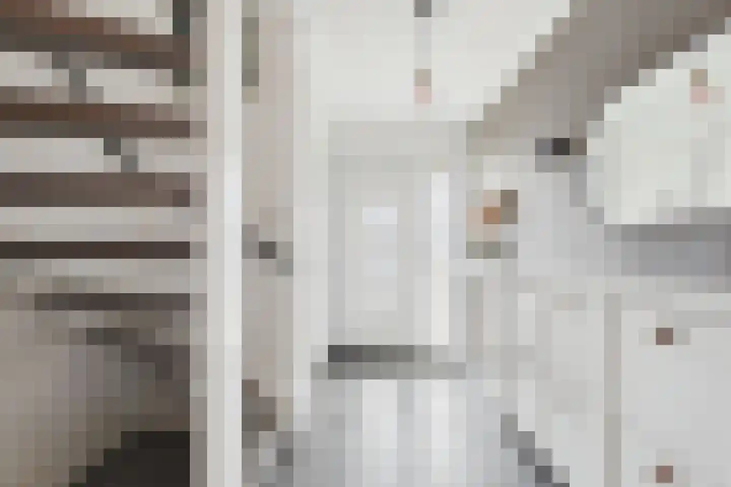 Nieuwe Bosstraat 1 Sas van Gent thumbnail 7