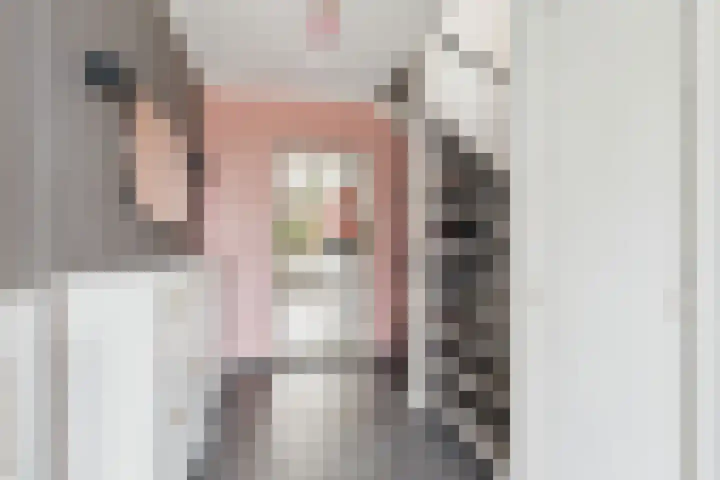 Nieuwe Bosstraat 1 Sas van Gent thumbnail 8