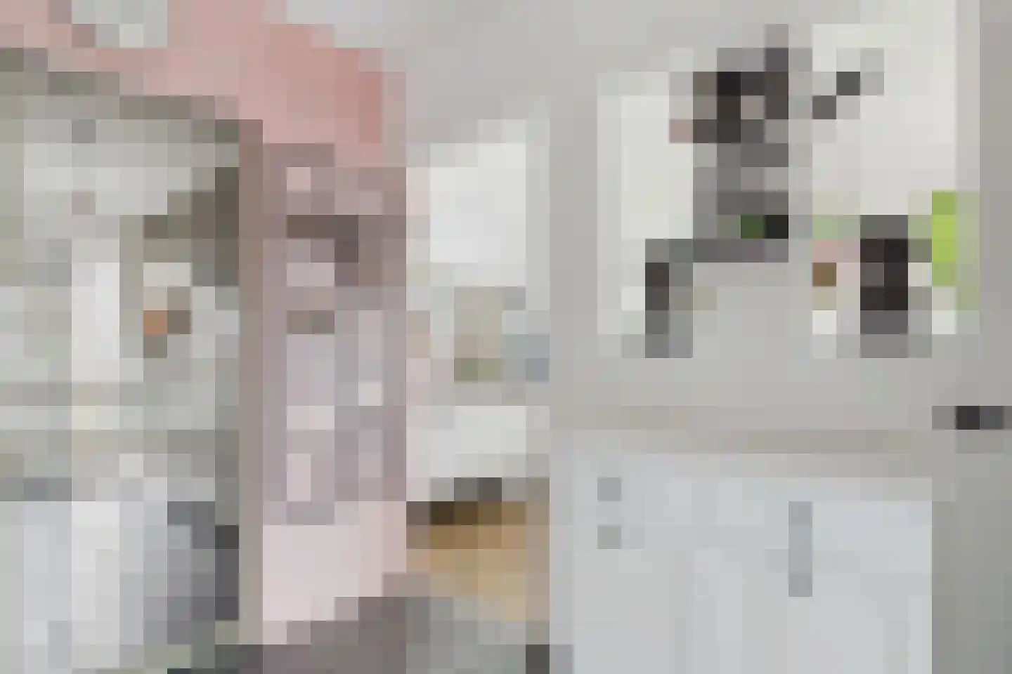 Nieuwe Bosstraat 1 Sas van Gent thumbnail 9