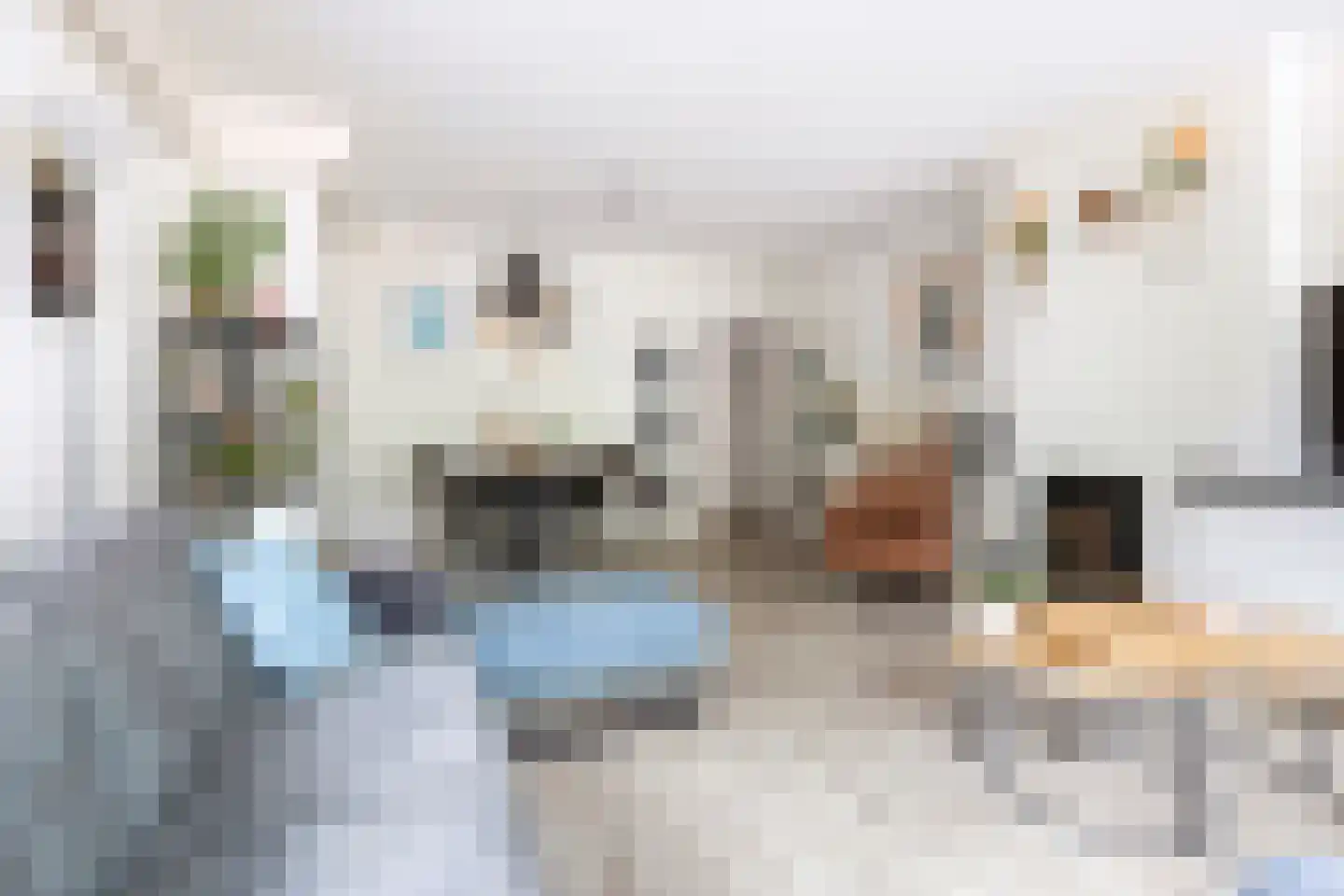 Nieuwe Boteringestraat 1 1 Groningen thumbnail 10