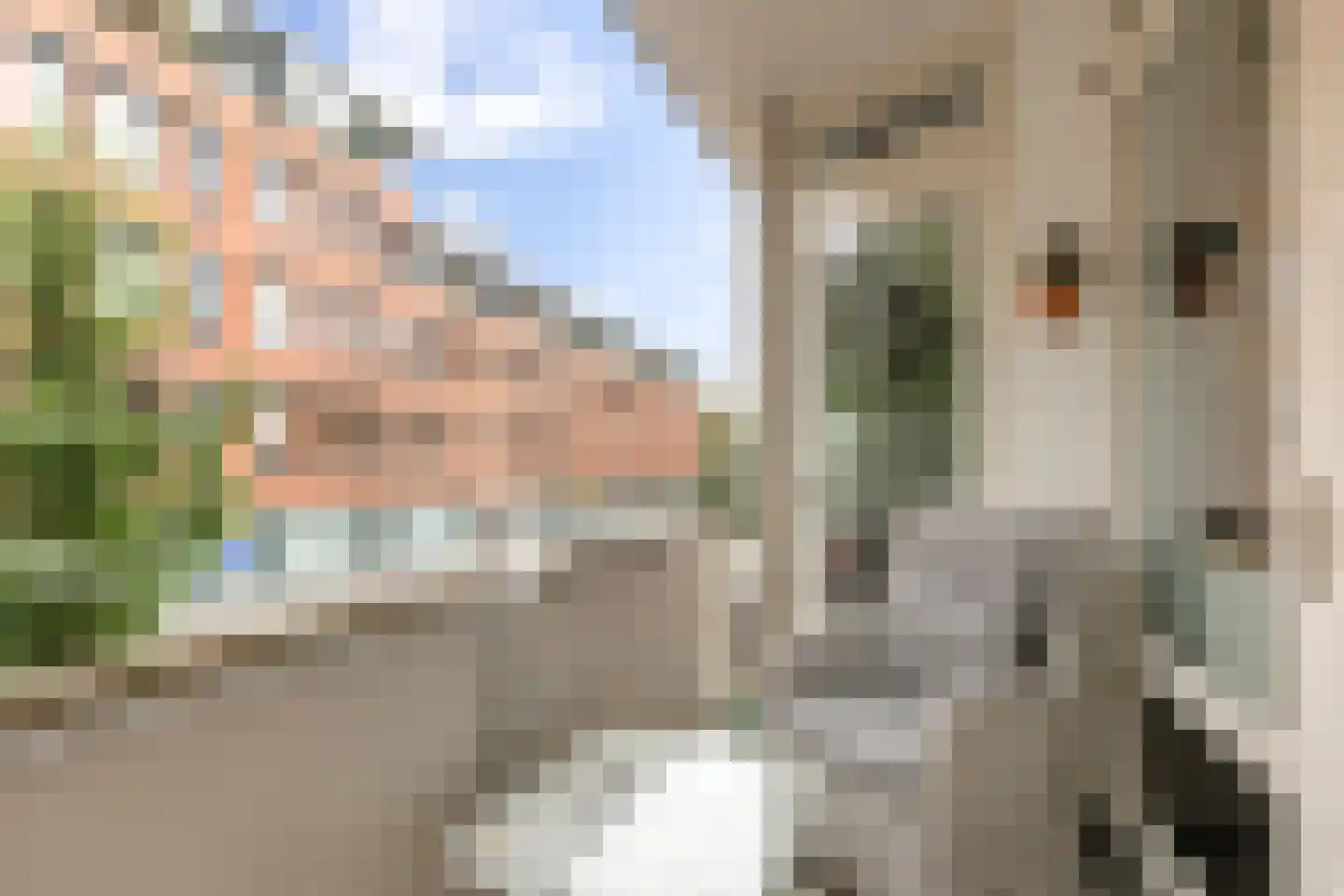 Nieuwe Boteringestraat 1 1 Groningen thumbnail 23