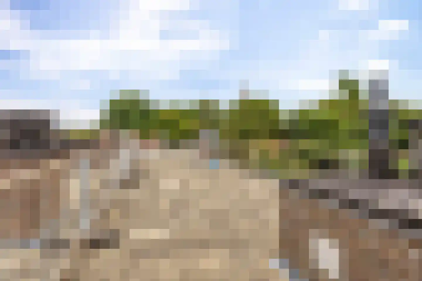 Nieuwe Boteringestraat 1 1 Groningen thumbnail 26