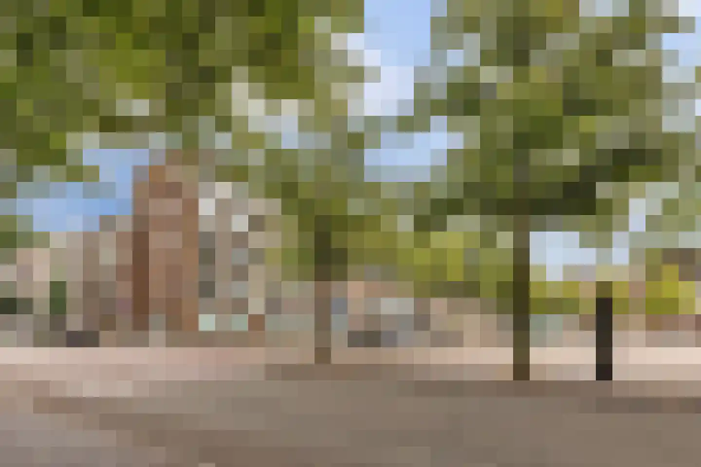 Nieuwe Boteringestraat 1 1 Groningen thumbnail 28