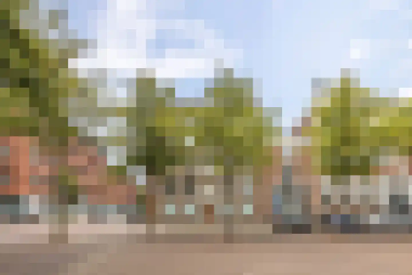 Nieuwe Boteringestraat 1 1 Groningen thumbnail 29