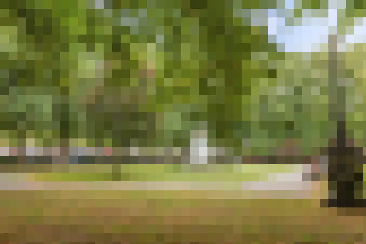 Nieuwe Boteringestraat 1 1 Groningen thumbnail 31