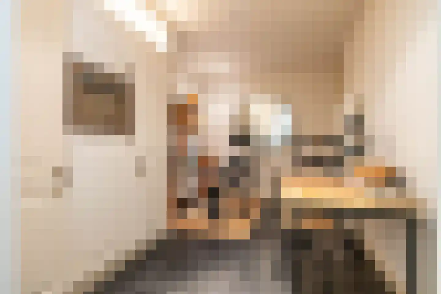 Nieuwe Boteringestraat 13 Groningen thumbnail 20