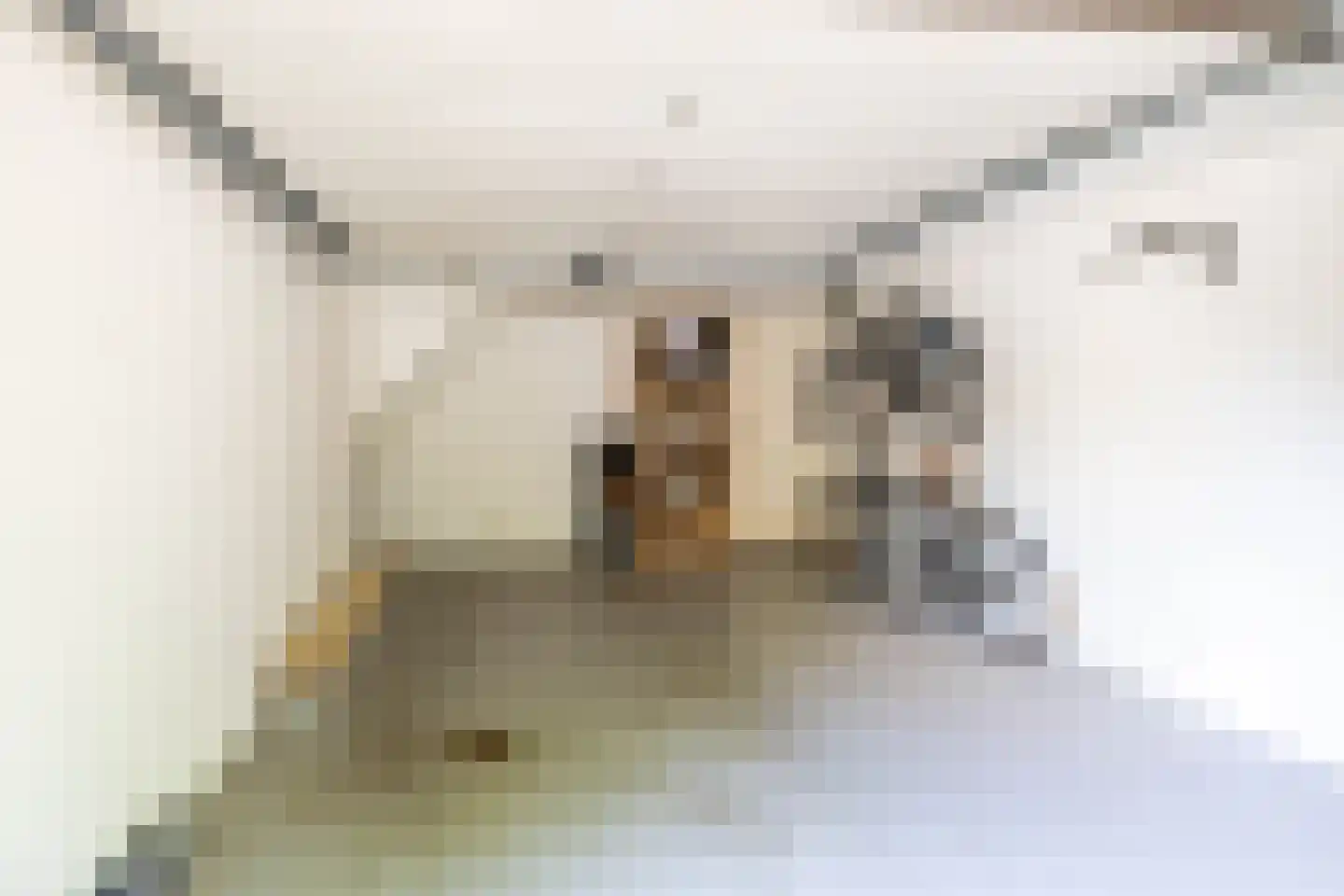 Nieuwe Boteringestraat 13 Groningen thumbnail 25