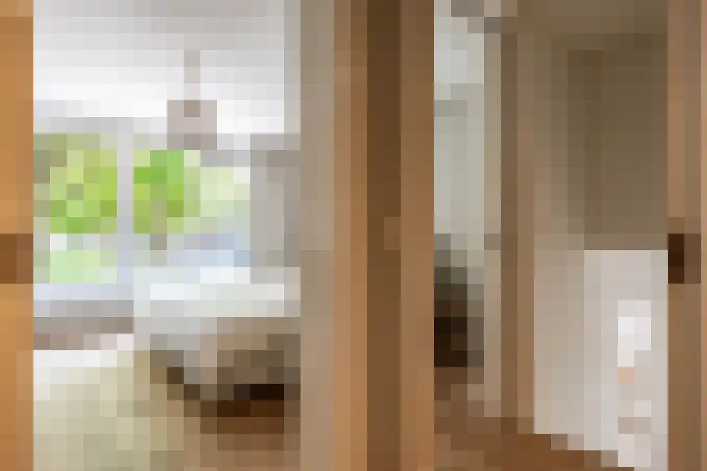 Nieuwe Boteringestraat 13 Groningen thumbnail 27
