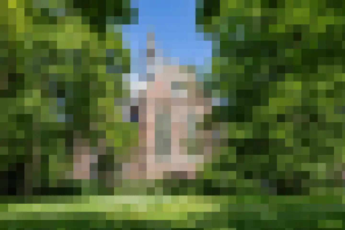 Nieuwe Boteringestraat 13 Groningen thumbnail 40