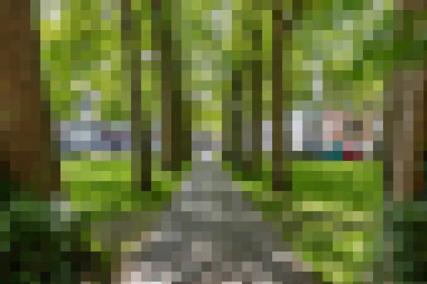Nieuwe Boteringestraat 13 Groningen thumbnail 41