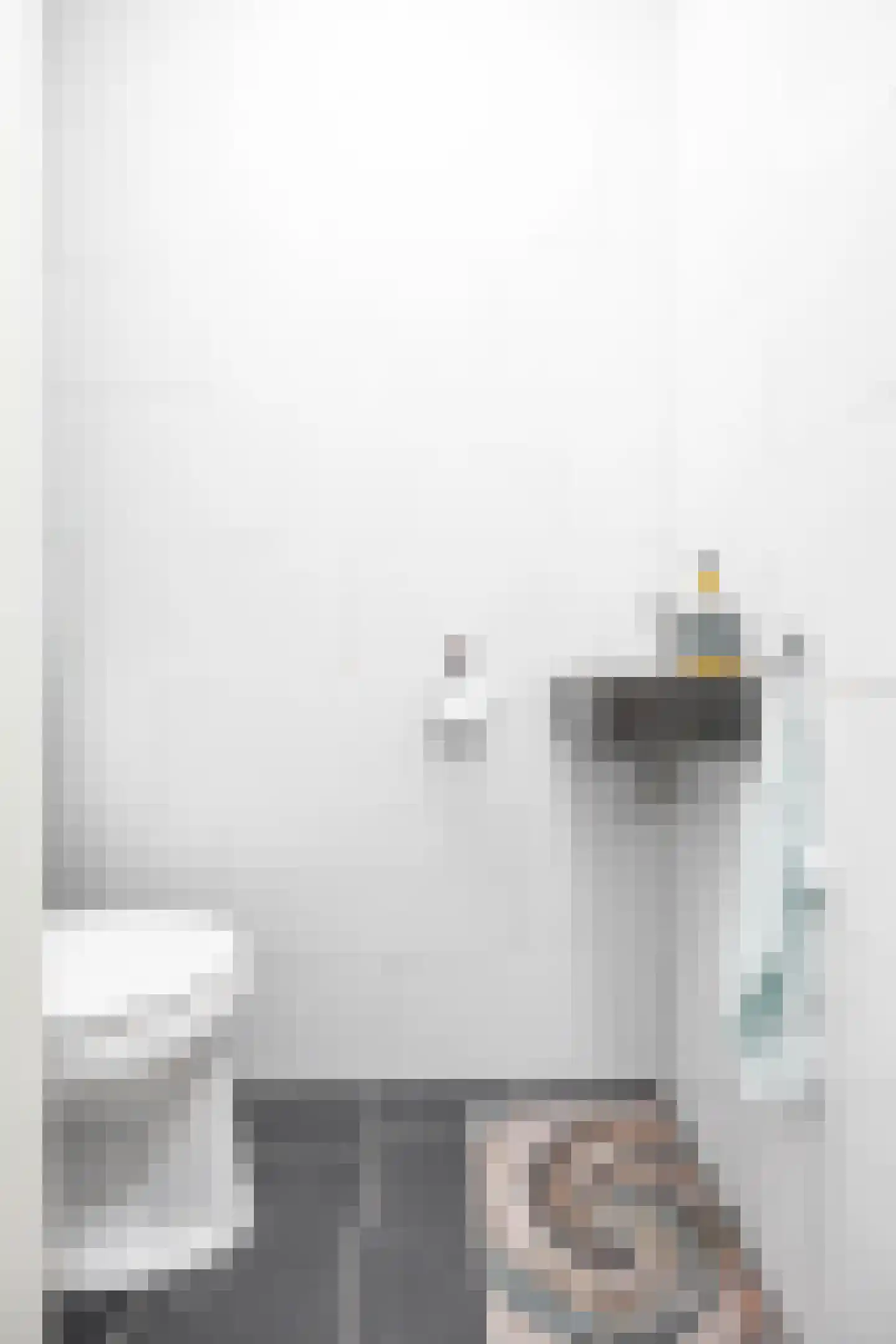 Nieuwe Boteringestraat 21 b Groningen thumbnail 13