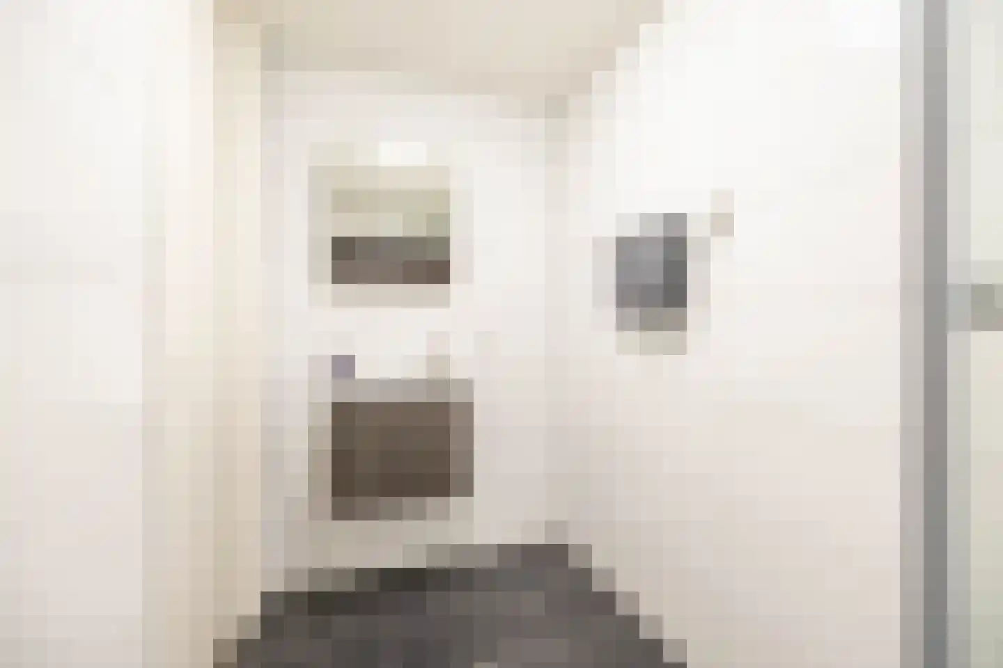 Nieuwe Boteringestraat 21 b Groningen thumbnail 14