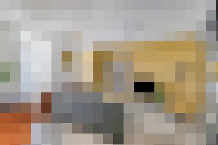 Nieuwe Boteringestraat 21 c Groningen thumbnail 4