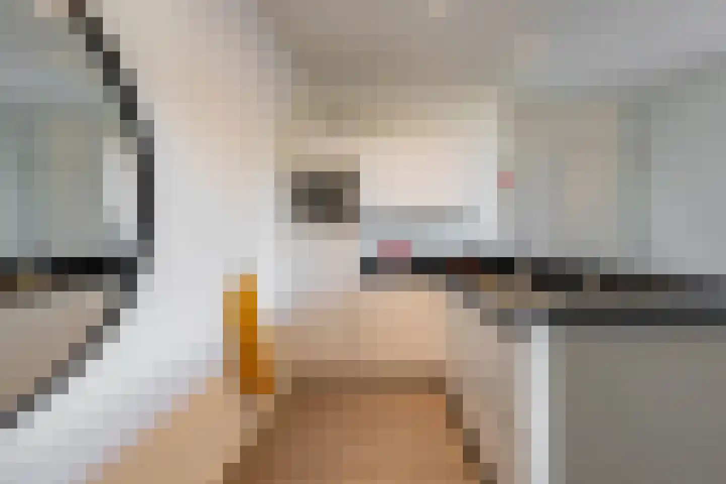 Nieuwe Boteringestraat 23 c Groningen thumbnail 8