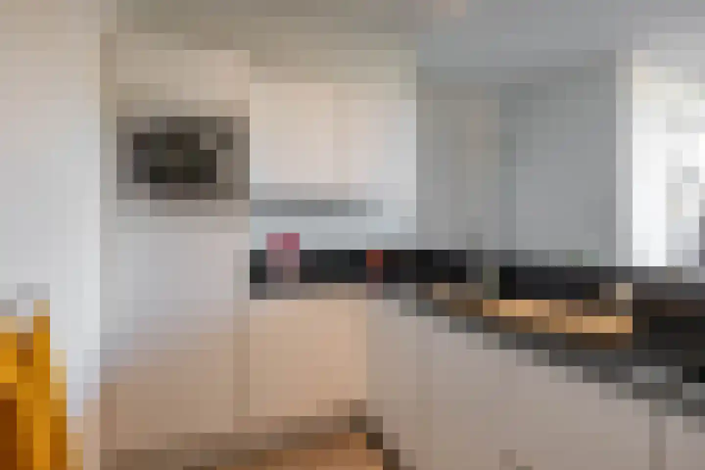Nieuwe Boteringestraat 23 c Groningen thumbnail 9