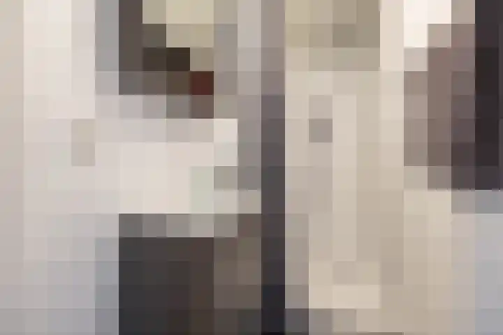 Nieuwe Boteringestraat 23 e Groningen thumbnail 18
