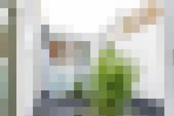 Nieuwe Boteringestraat 23 e Groningen thumbnail 22