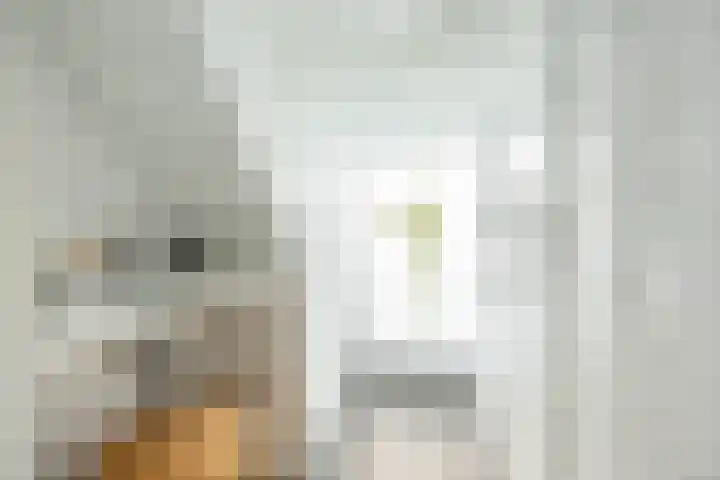 Nieuwe Boteringestraat 25 a Groningen thumbnail 20