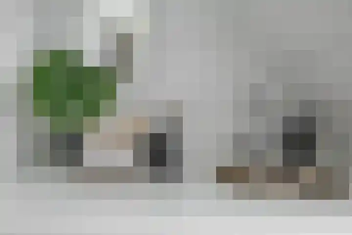 Nieuwe Boteringestraat 25 a Groningen thumbnail 21