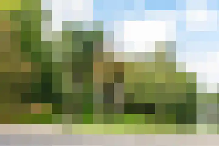 Nieuwe Boteringestraat 25 a Groningen thumbnail 23