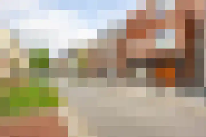 Nieuwe Boteringestraat 25 a Groningen thumbnail 4