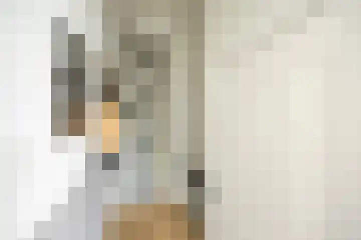 Nieuwe Boteringestraat 25 a Groningen thumbnail 5