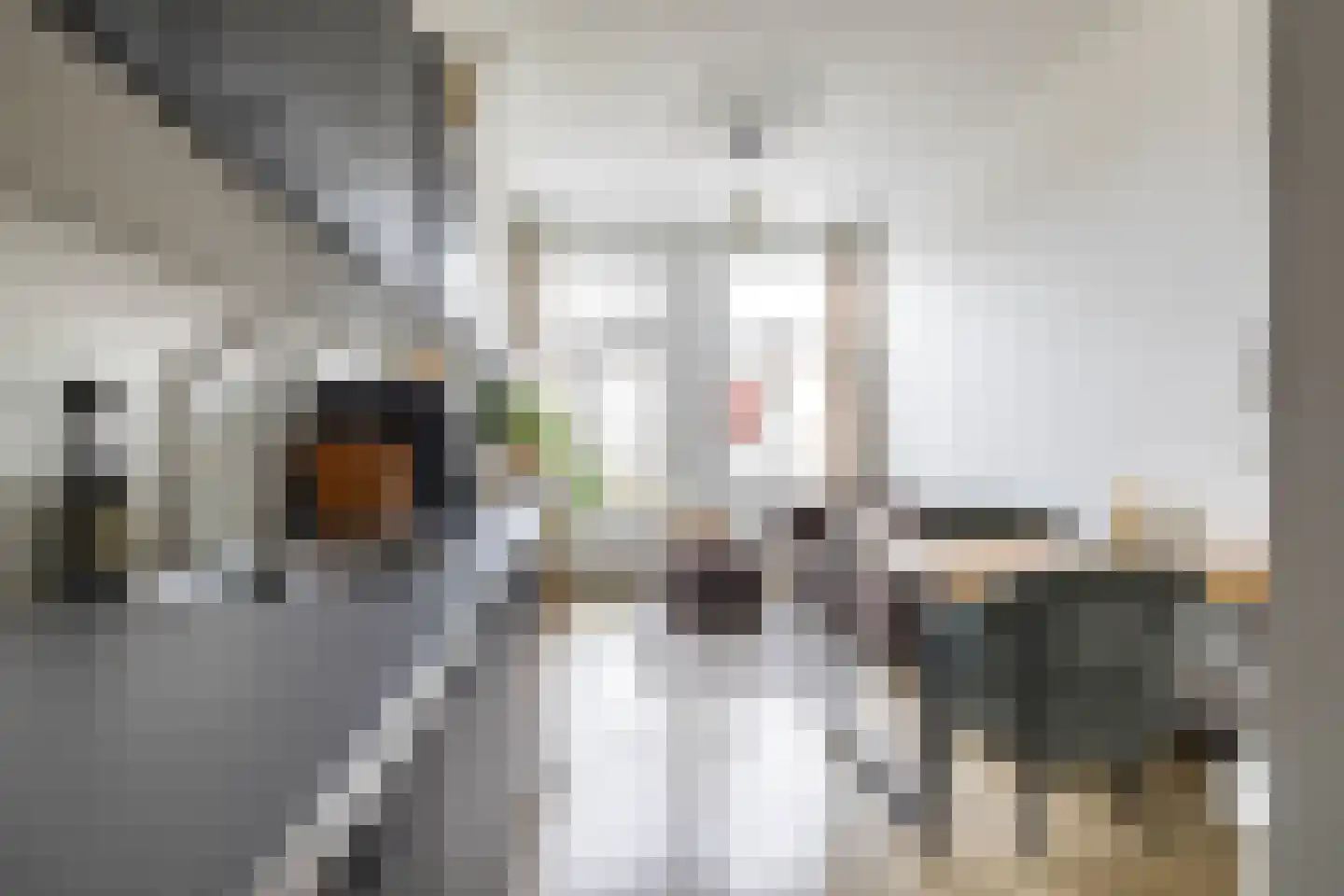 Nieuwe Boteringestraat 25 b Groningen thumbnail 13