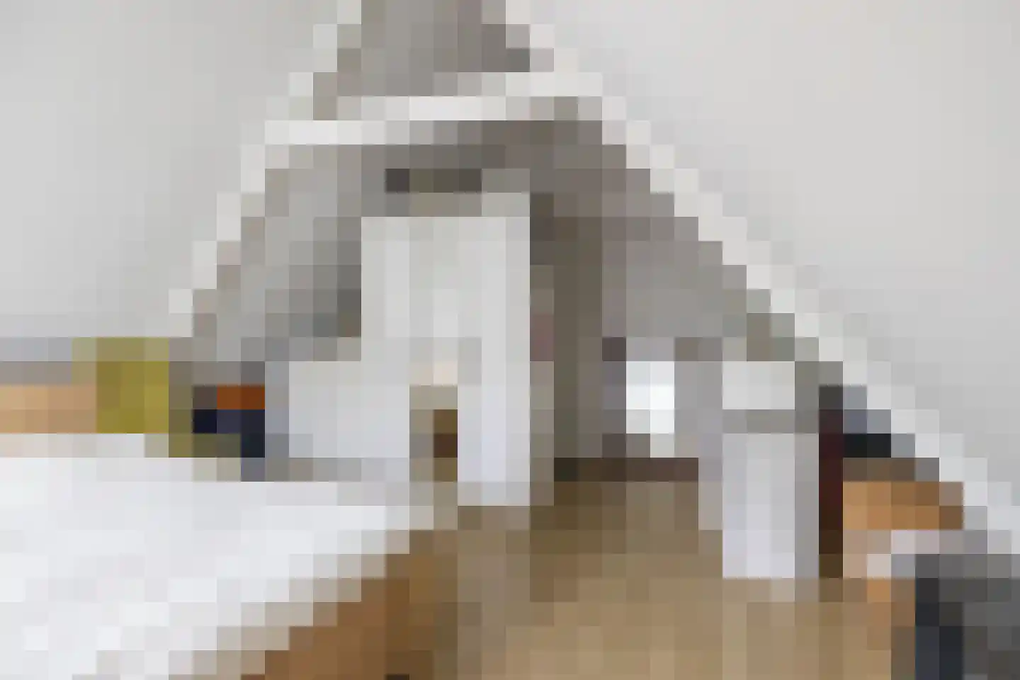 Nieuwe Boteringestraat 25 b Groningen thumbnail 22