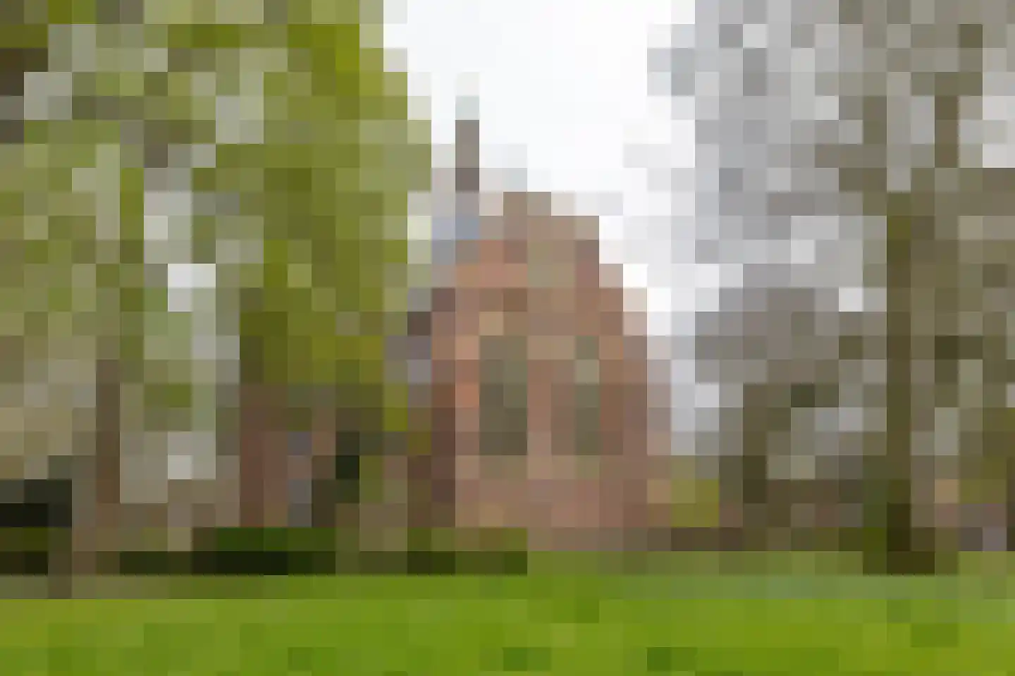 Nieuwe Boteringestraat 25 b Groningen thumbnail 25