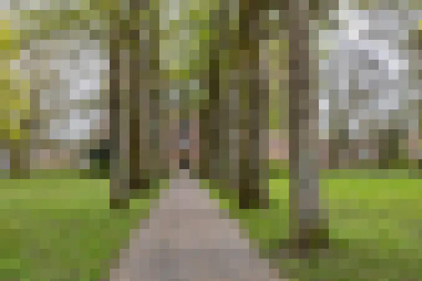 Nieuwe Boteringestraat 25 b Groningen thumbnail 26