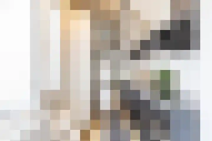 Nieuwe Boteringestraat 25 c Groningen thumbnail 11