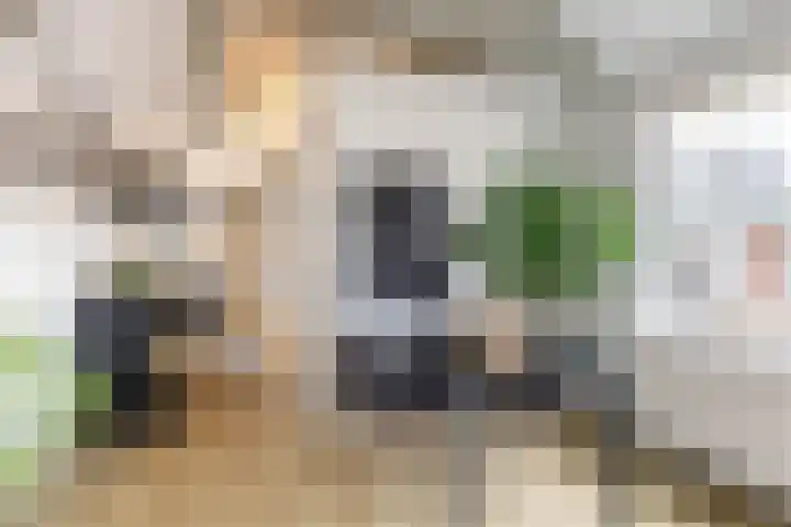 Nieuwe Boteringestraat 25 c Groningen thumbnail 20