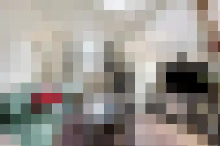 Nieuwe Boteringestraat 37 Groningen thumbnail 31