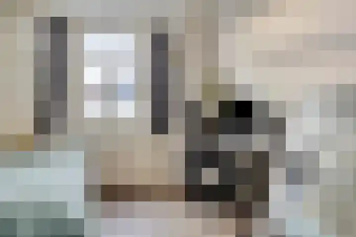 Nieuwe Boteringestraat 37 Groningen thumbnail 33