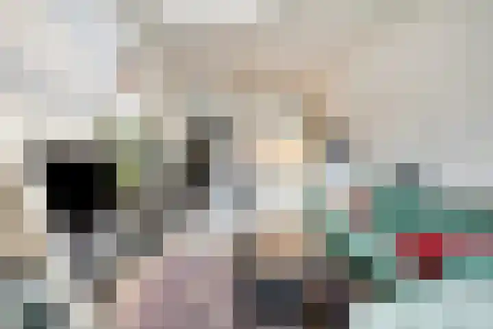 Nieuwe Boteringestraat 37 Groningen thumbnail 34