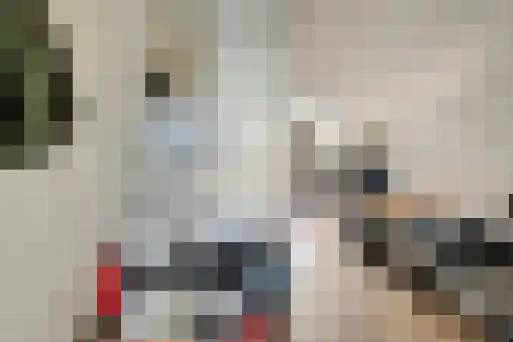 Nieuwe Boteringestraat 37 Groningen thumbnail 37