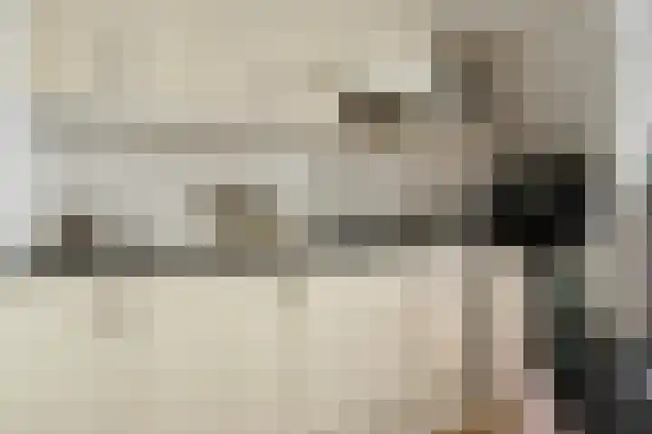 Nieuwe Boteringestraat 37 Groningen thumbnail 9